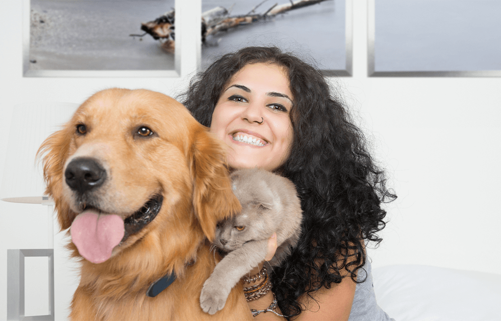 Divorce, Pets Custody, Custody Arrangement